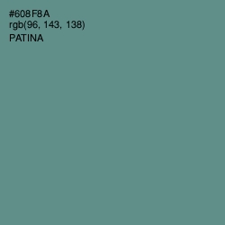 #608F8A - Patina Color Image