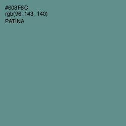 #608F8C - Patina Color Image