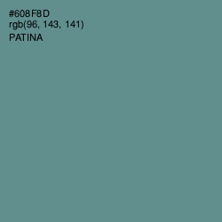 #608F8D - Patina Color Image