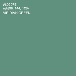 #60907E - Viridian Green Color Image