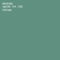 #609080 - Patina Color Image