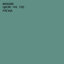 #609085 - Patina Color Image