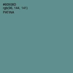 #60908D - Patina Color Image