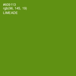 #609113 - Limeade Color Image