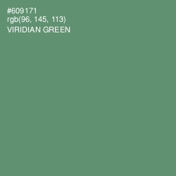 #609171 - Viridian Green Color Image