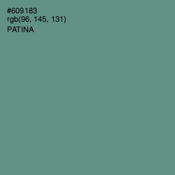#609183 - Patina Color Image