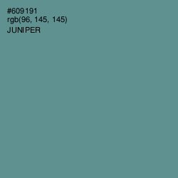 #609191 - Juniper Color Image