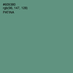 #609380 - Patina Color Image