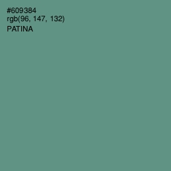 #609384 - Patina Color Image