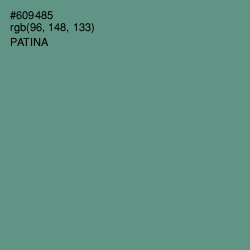 #609485 - Patina Color Image