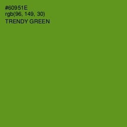 #60951E - Trendy Green Color Image