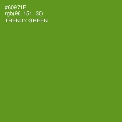 #60971E - Trendy Green Color Image