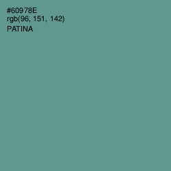 #60978E - Patina Color Image