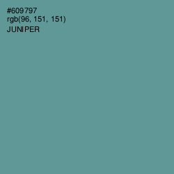 #609797 - Juniper Color Image