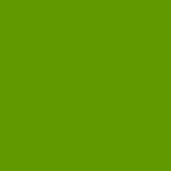 #609900 - Limeade Color Image