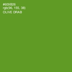 #609B26 - Olive Drab Color Image