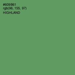 #609B61 - Highland Color Image