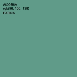 #609B8A - Patina Color Image