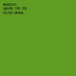 #609C21 - Olive Drab Color Image