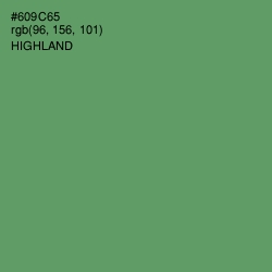 #609C65 - Highland Color Image