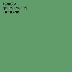 #609C6A - Highland Color Image