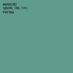 #609C8D - Patina Color Image