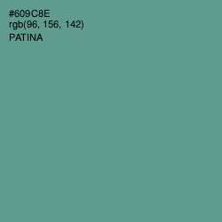 #609C8E - Patina Color Image