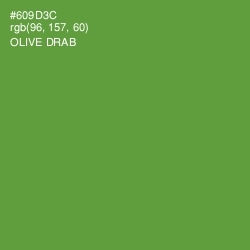 #609D3C - Olive Drab Color Image