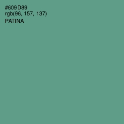 #609D89 - Patina Color Image