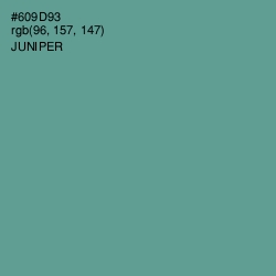 #609D93 - Juniper Color Image