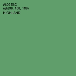 #609E6C - Highland Color Image