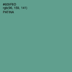 #609F8D - Patina Color Image