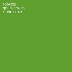 #60A02E - Olive Drab Color Image