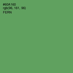 #60A160 - Fern Color Image