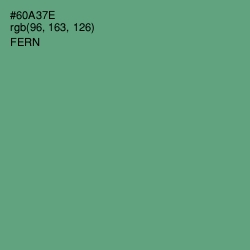 #60A37E - Fern Color Image