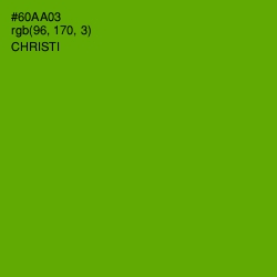 #60AA03 - Christi Color Image