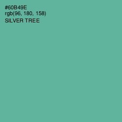 #60B49E - Silver Tree Color Image