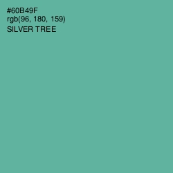 #60B49F - Silver Tree Color Image