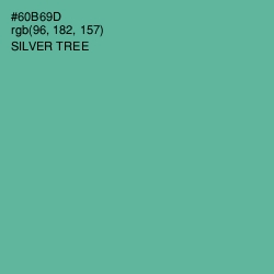 #60B69D - Silver Tree Color Image
