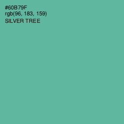 #60B79F - Silver Tree Color Image