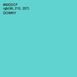 #60D2CF - Downy Color Image