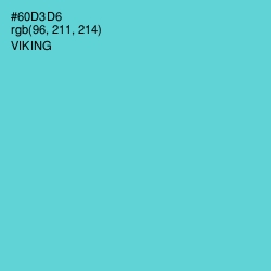 #60D3D6 - Viking Color Image