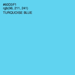 #60D3F1 - Turquoise Blue Color Image