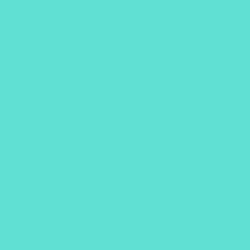 #60E0D2 - Aquamarine Color Image