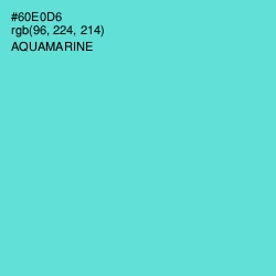 #60E0D6 - Aquamarine Color Image