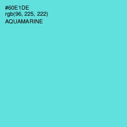 #60E1DE - Aquamarine Color Image