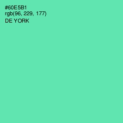 #60E5B1 - De York Color Image