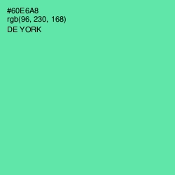 #60E6A8 - De York Color Image
