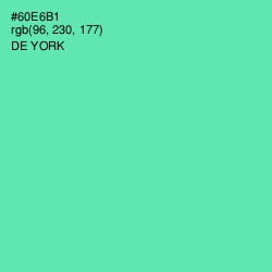 #60E6B1 - De York Color Image