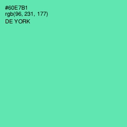 #60E7B1 - De York Color Image